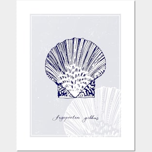 Atlantic Calico Scallop. Realistic sea life drawings. Posters and Art